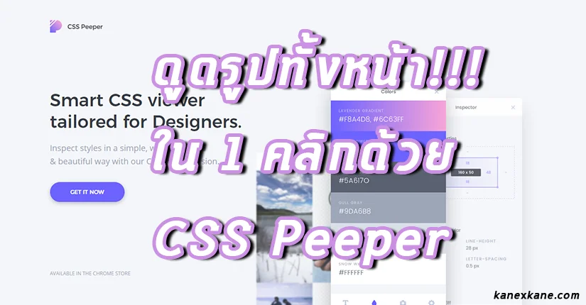 CSS Peeper ดูดรูปทั้งหน้าเว็บ สคริปต์ป้องกันคลิกขวาก็เอาไม่อยู่